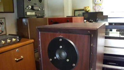 lungyim~Dynaudio Contour II