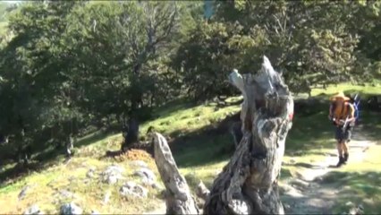 GR20 SUD - ETAPE 12 - PRATI - USCIOLU