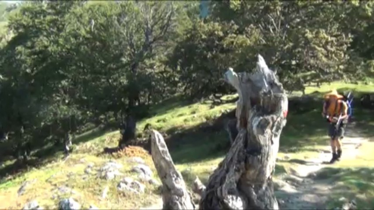 GR20 SUD - ETAPE 12 - PRATI - USCIOLU