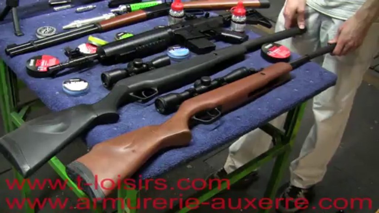 Armurerie Auxerre - Quelle carabine à plomb choisir ?