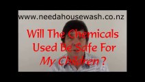 House Washing FAQs: Are the Housewash Chemicals Safe For My Kids