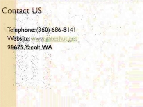 Self Closing Gate Hinges