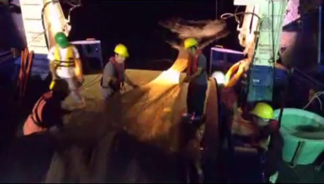 Hamsi stoku sevindirdi