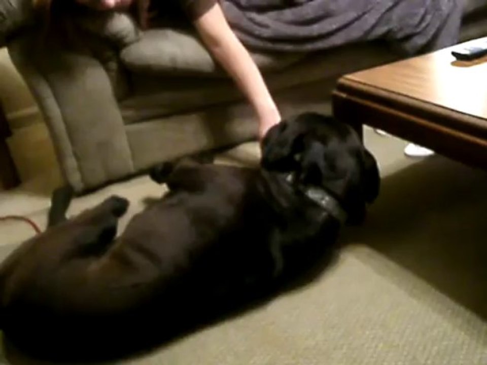 DOG7THST? bahahaha