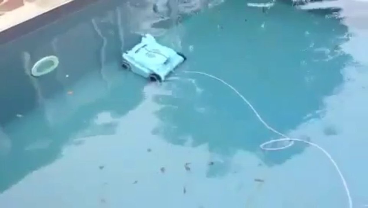 Robot de piscine Kwadoo