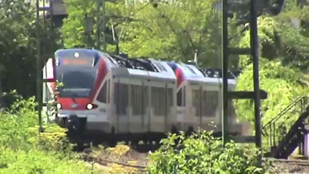 Züge bei Hattenheim am Rhein, ERS 189, SBB Cargo Re482, 145, 4x 185, 2x 427, 428