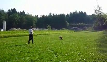 Be Aware Fleur  @ tracking