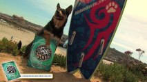 Longest wave Surfed By a Dog - Meet The Record Breakers - Guinness World Records