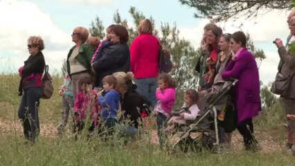 La Culturelle - Transhumance - 05 juin 2013