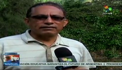 Honduras: caficultores con fincas afectadas por la roya