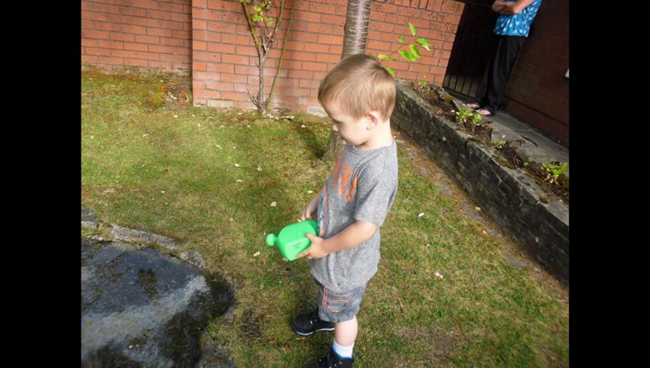 JOSEPH AND GARDEN
