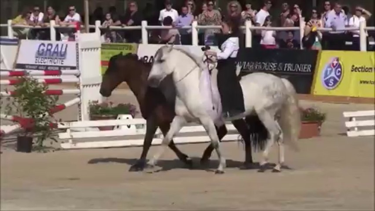 Vent de liberté montage