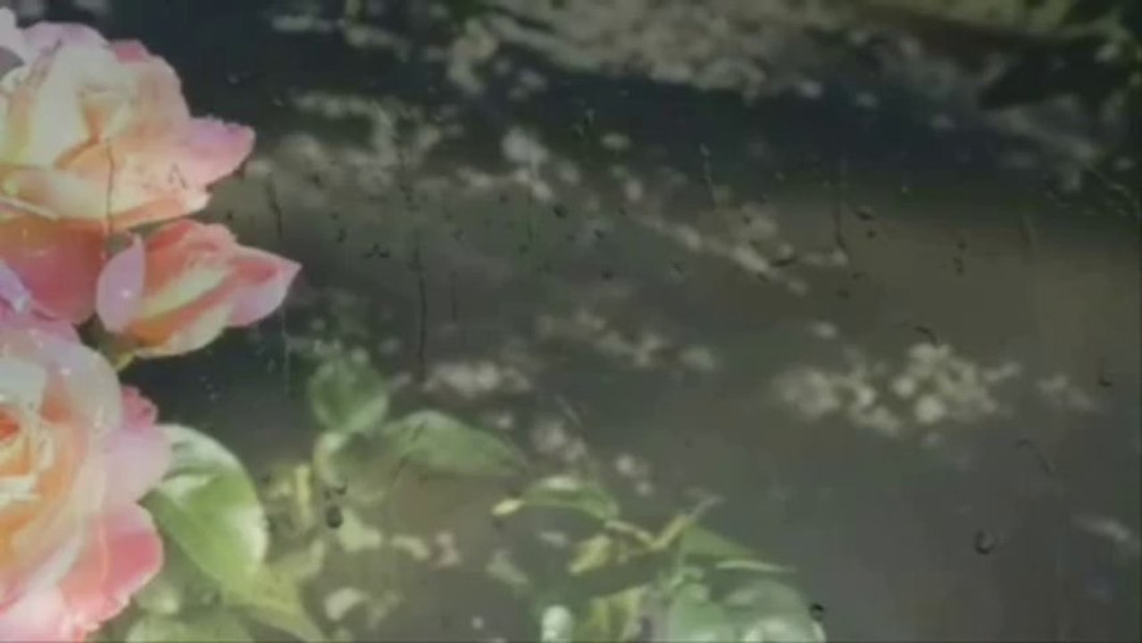 ELIAS  RAHBANI DİALA.