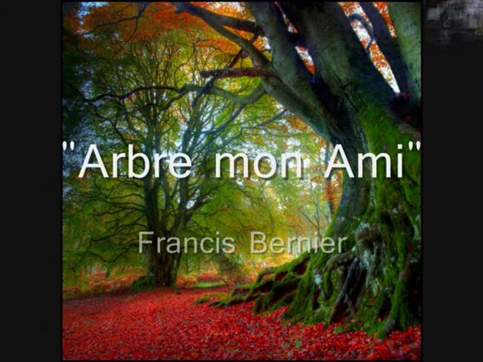 Arbre mon Ami