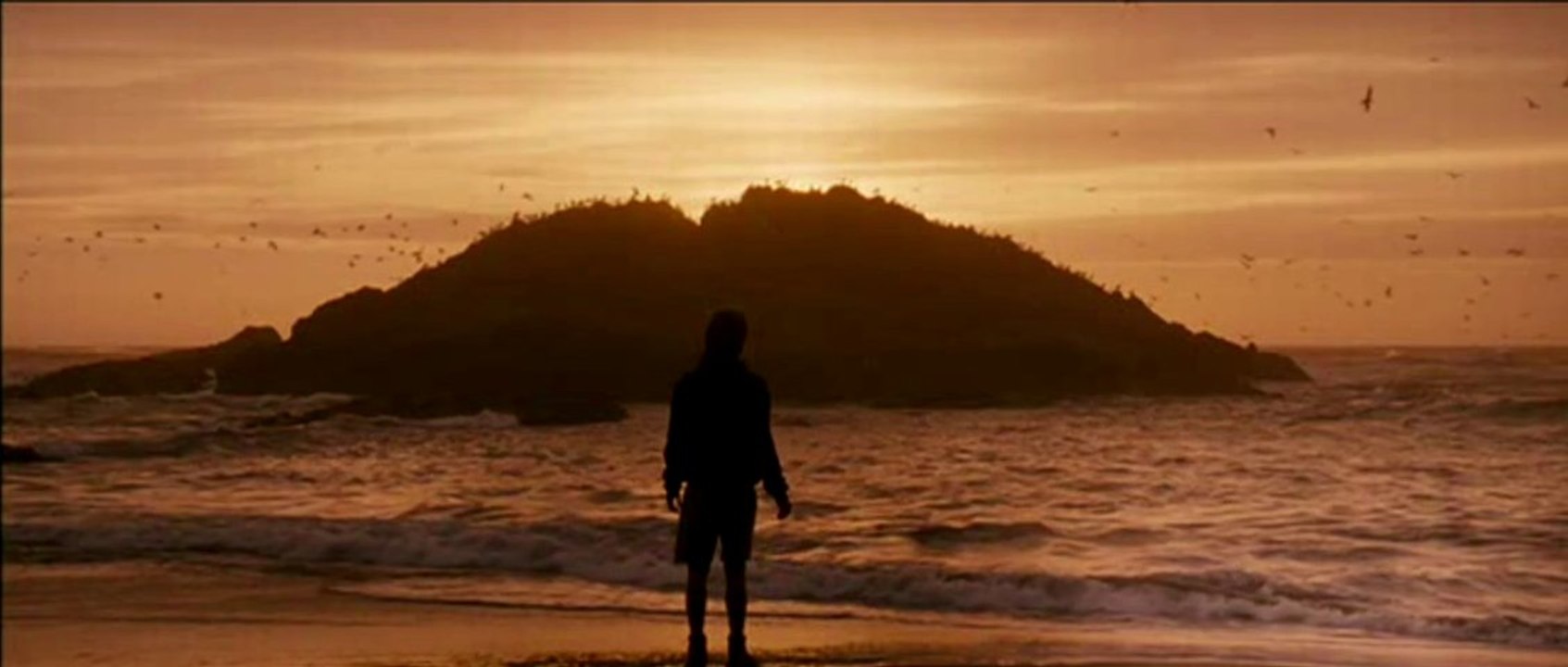 INTO THE WILD - INTO THE WILD (Saez)