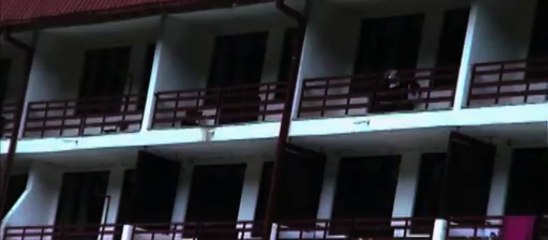 FOR THOSE WHO CAN'T TELL NO TALES Trailer | Festival 2013