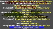How to Detoxify Lungs - Detoxify Lungs