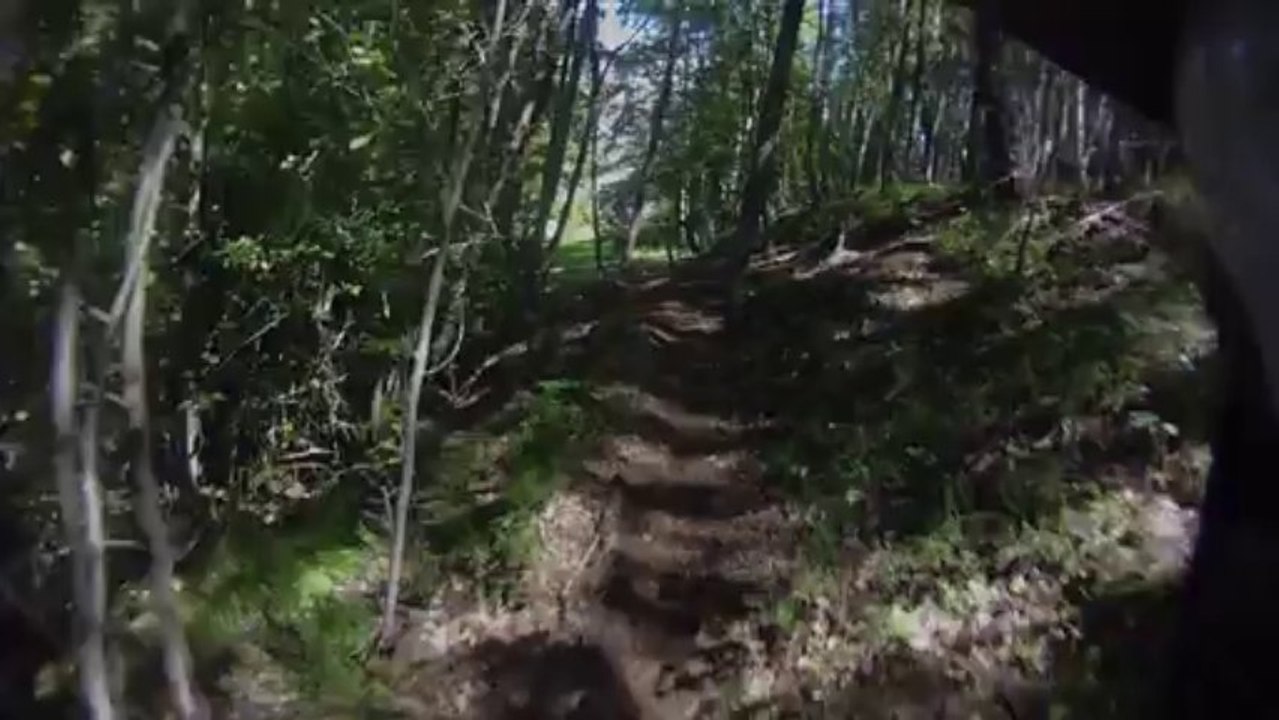 Le cri des marmottes best of fall 2013 VTT DH