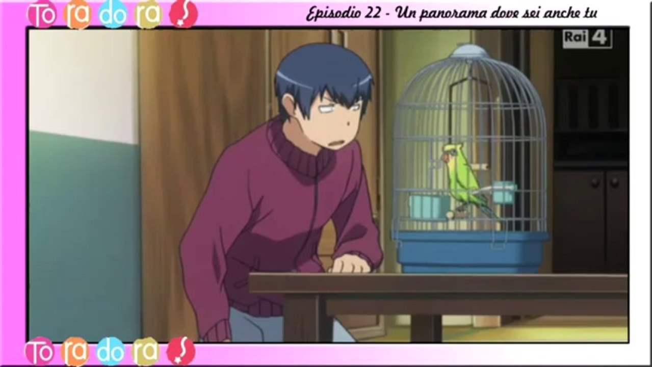 Toradora! - ITA - 22 [2_2]- Un panorama dove sei anche tu [2_2]
