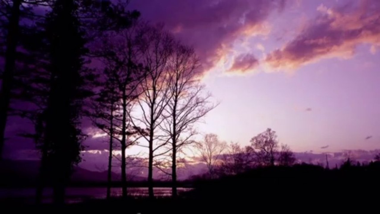 BİR DOSTU OLMALI İNSANIN-Can DÜNDAR