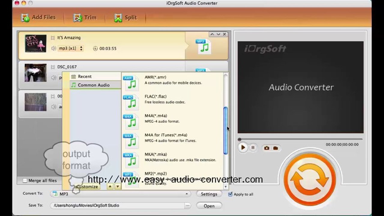 audio converter-m4v to mp3