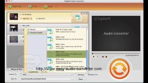 User Guide on How to Use iOrgSoft Audio Converter to Achieve Conversion between Various Audio Formats