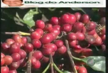 BATV - 25-JUL-2013