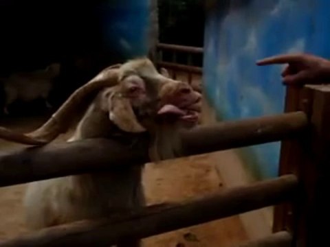 세븐카지노,온라인 ☞ ＰＯＫＥＲ４１５．ＣＯＭ ☜ 세븐카지노