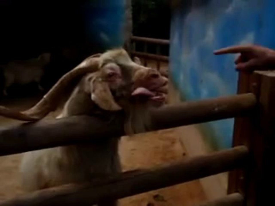 강원랜드카지노,온라인 ☞ ＰＯＫＥＲ４１５．ＣＯＭ ☜  강원랜드카지노