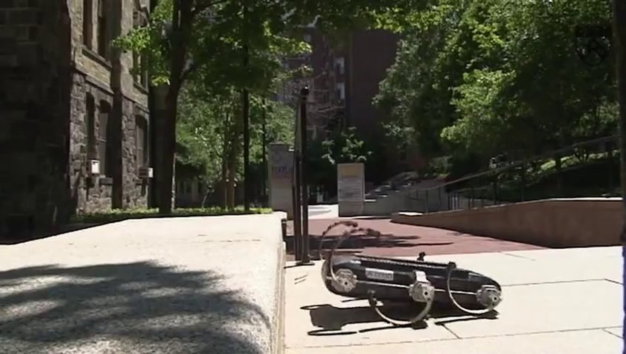 RHex the Parkour Robot