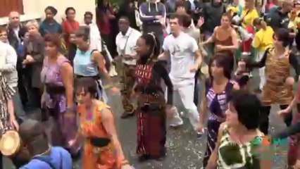 Carnaval 2013_grand défilé