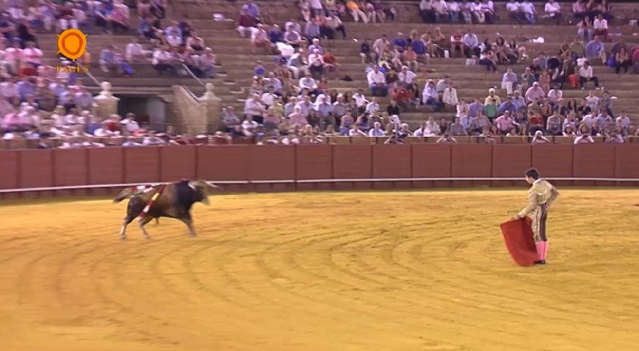 Novillada de promoción del 25 de julio en Sevilla