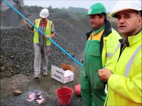 Saint-Aubin-des-Châteaux (44) : carrière du Bois de la Roche
