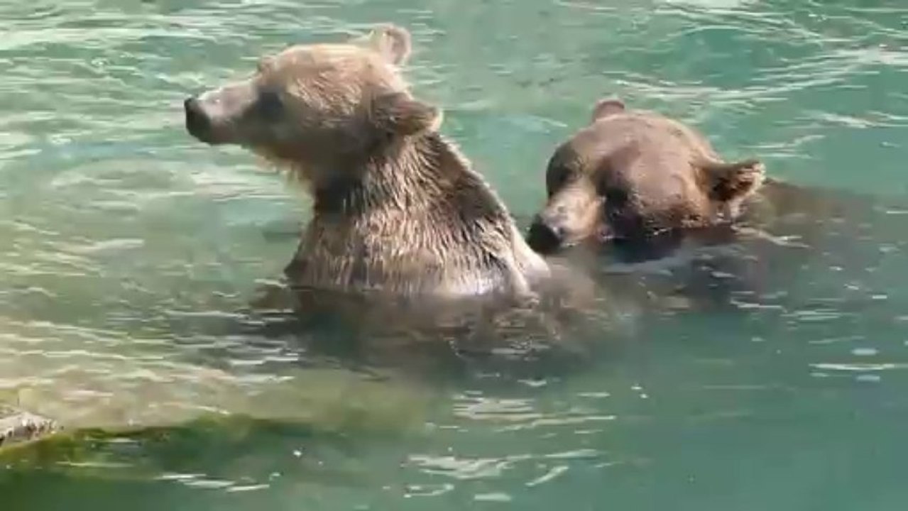 BERNA letzte Tage in Bern