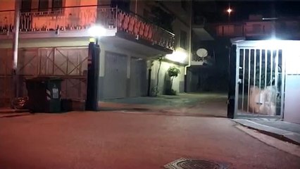 Salerno - Fa a pezzi la madre e tenta di cucinarla, gli sviluppi (23.07.13)