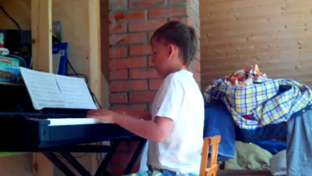 Fly IQ450 Quattro Horizon 2, тест камеры - Музыка на даче