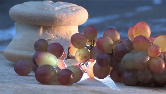 Паисий Святогорец. 'Панагуда' (Фильм пятый)