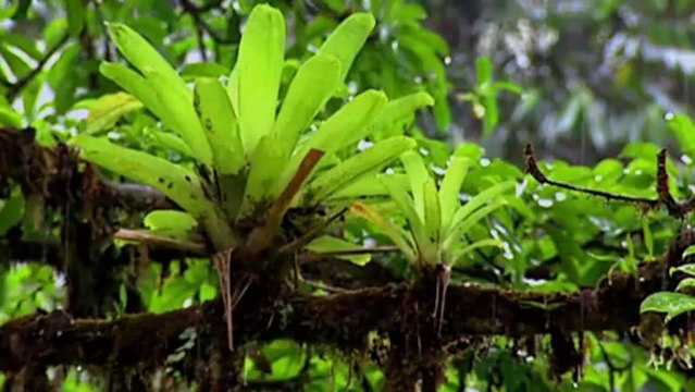 Материальный мир. Технология от природы