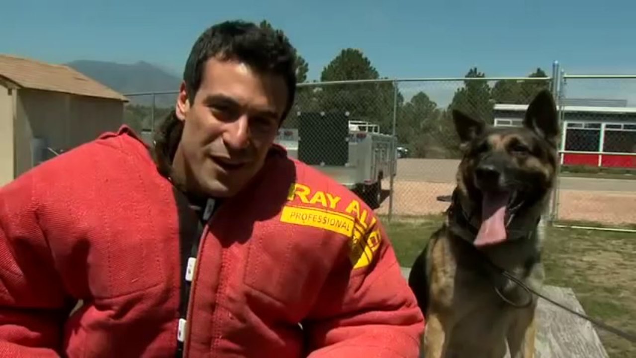 CQB K-9 on the Daily with Specialized High Altitude Training and Equipment.