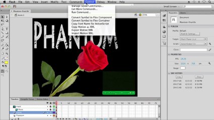 8.3. Overview of Flash Publish Settings