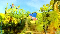 Alsace wines : Naturally Great