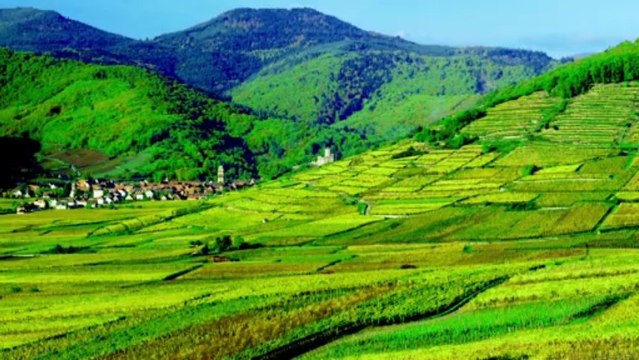 Discovering Alsace Terroirs with Joanna Simon (Episode 06)