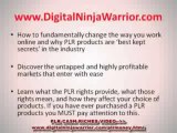 Private Label Rights Ebook - EZ PLR Riches - Earn $10k Monthly