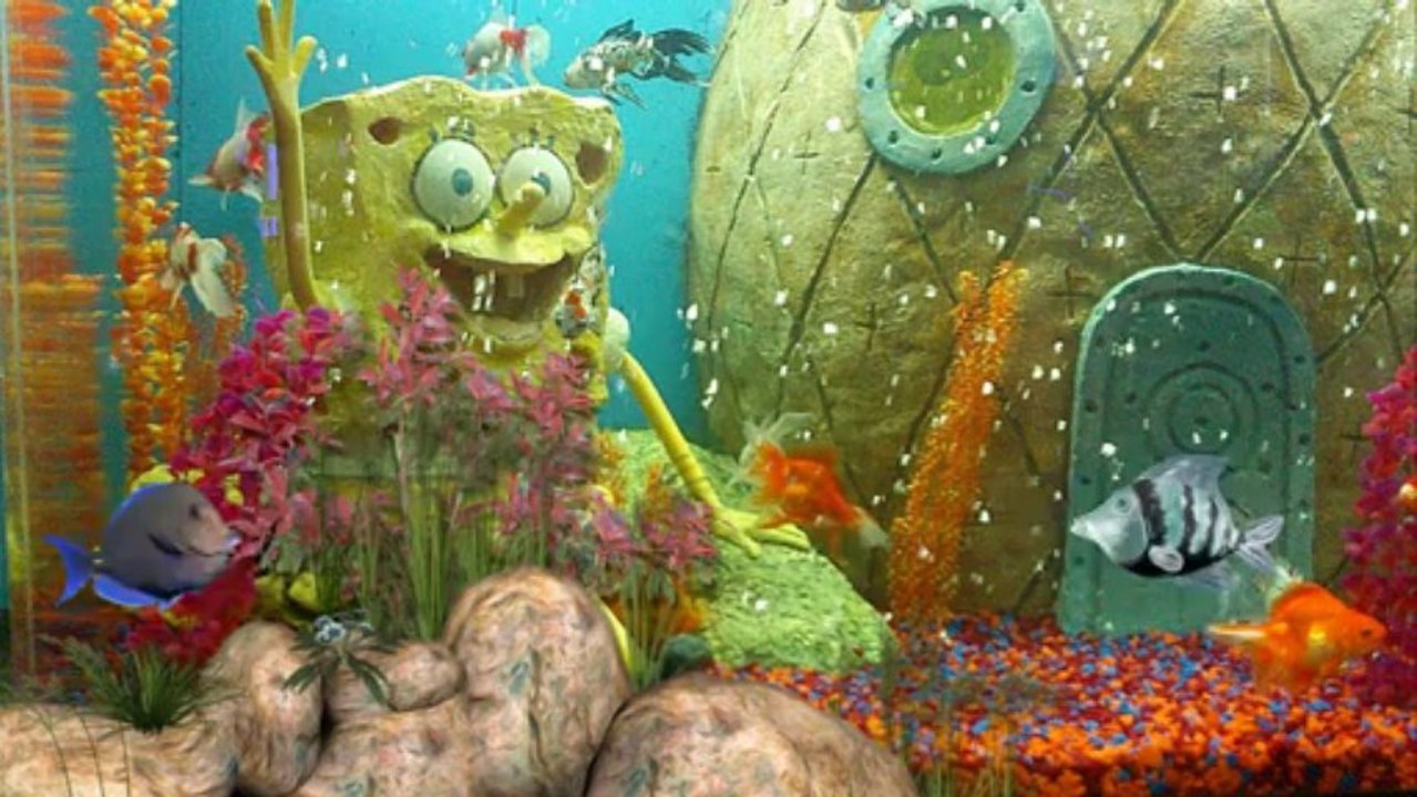 Летни приключения