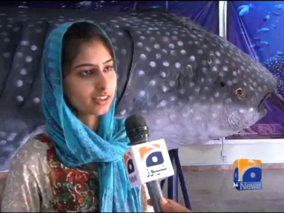 The Giant Creature-28 Jul 2013