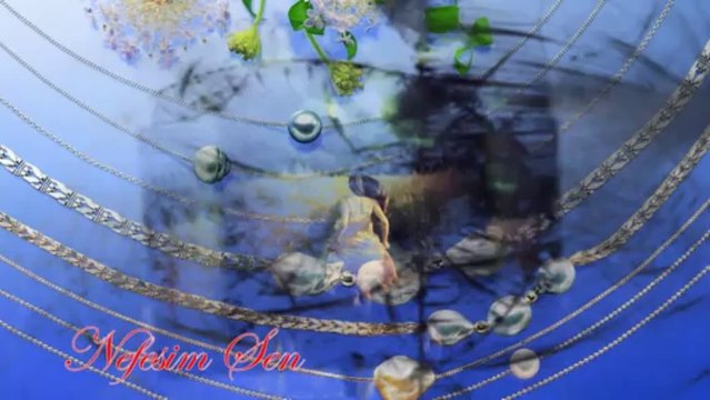 EMEL SAYIN Gideceğin Yere Beni De Götür .(NEFESİM SEN)