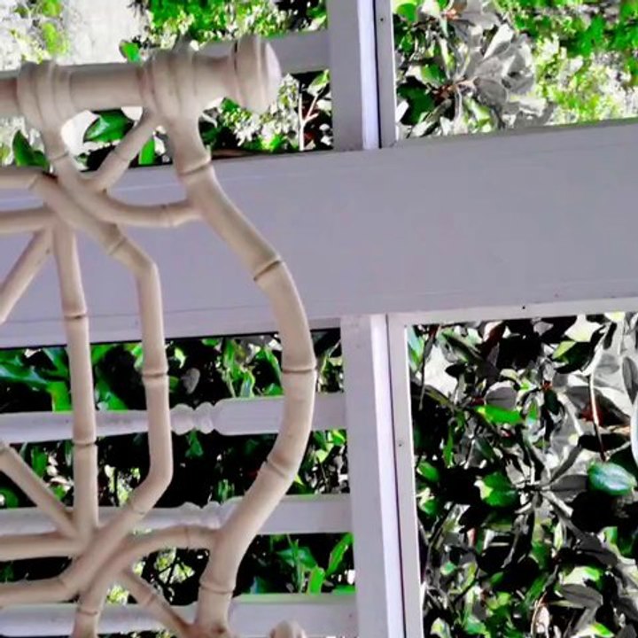 It's a beautiful morning on "the porch"