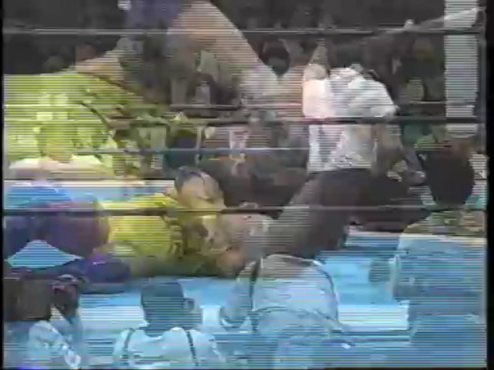 Big Van Vader vs. Koji Kitao 5/28/1990