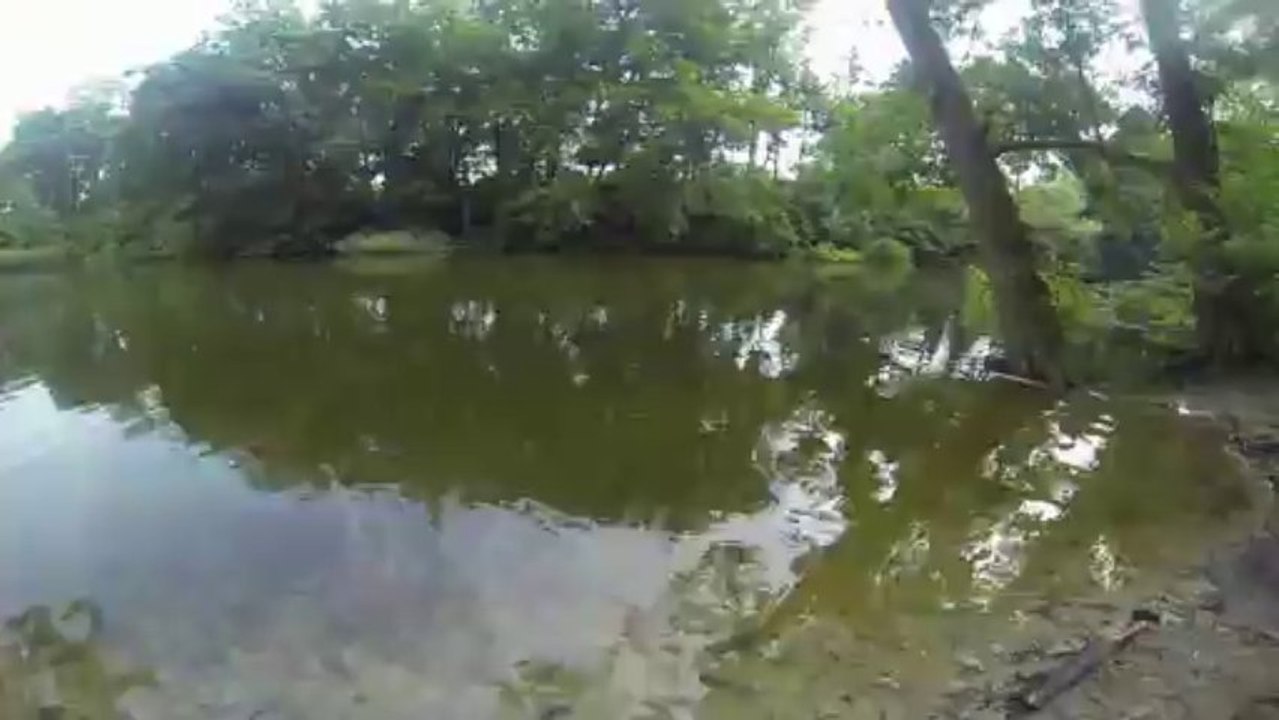 mit kessy im Park und am wasser