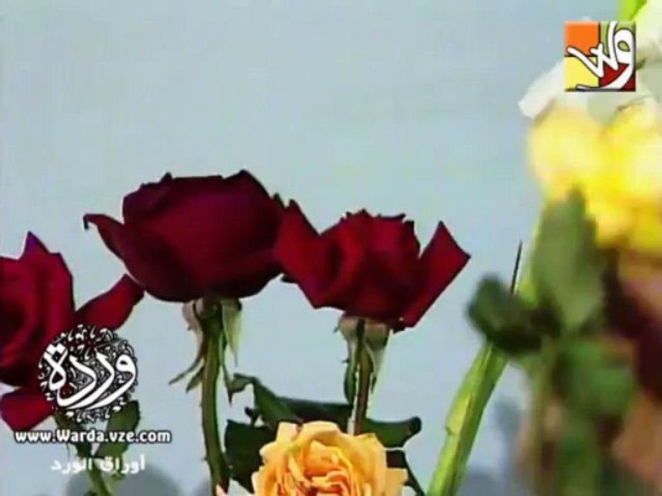 وردة - سلامتك ياحـــبى | من مسلسل أوراق الورد 1979